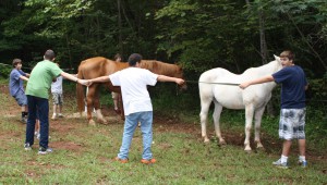 Group Horse Therapy lends many opportunities for passing lessons learned to a friend.